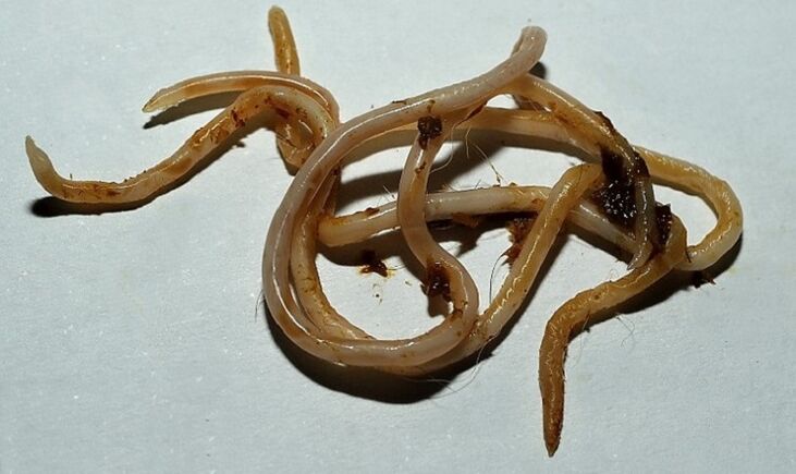 Адам денесинен тококара